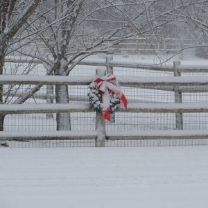 Meet your Posher, Ciri